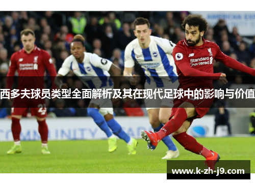 西多夫球员类型全面解析及其在现代足球中的影响与价值 西多夫球员类型全面解析及其在现代足球中的影响与价值