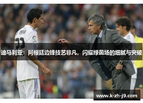 迪马利亚：阿根廷边锋技艺非凡，闪耀绿茵场的细腻与突破