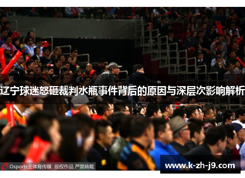 辽宁球迷怒砸裁判水瓶事件背后的原因与深层次影响解析